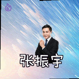 张振宇